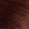 Chestnut