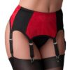 Screen Shot 2018-04-28 at 14.54.15 Red Lace Panel Suspender Belt