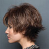 coco-wig