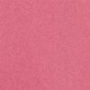 Blush Rose
