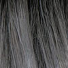 Smokey Grey Rooted