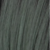 Smoky Forest
