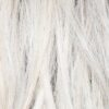 White Rose Blonde Rooted