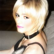 Translife Dressing Service Model Nat